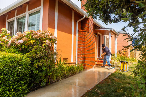 Best Affordable Power Washing  in Pinellas Park, FL